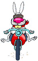 bikerbunny1b.gif