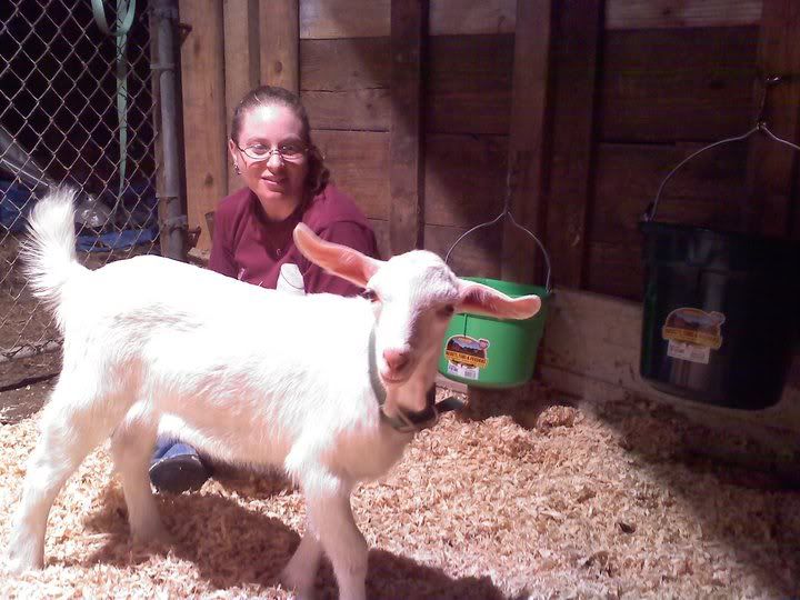 Coughing Goat - Sorry for length!! - Goats