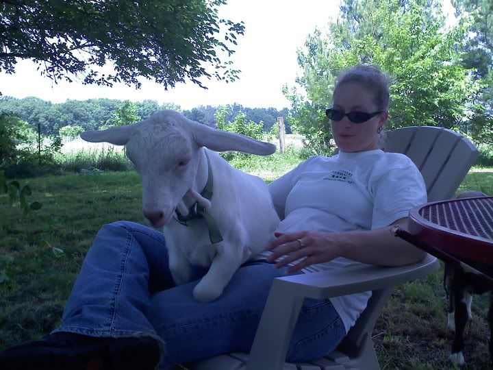 Coughing Goat - Sorry for length!! - Goats