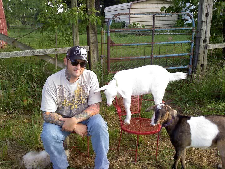 Coughing Goat - Sorry for length!! - Goats