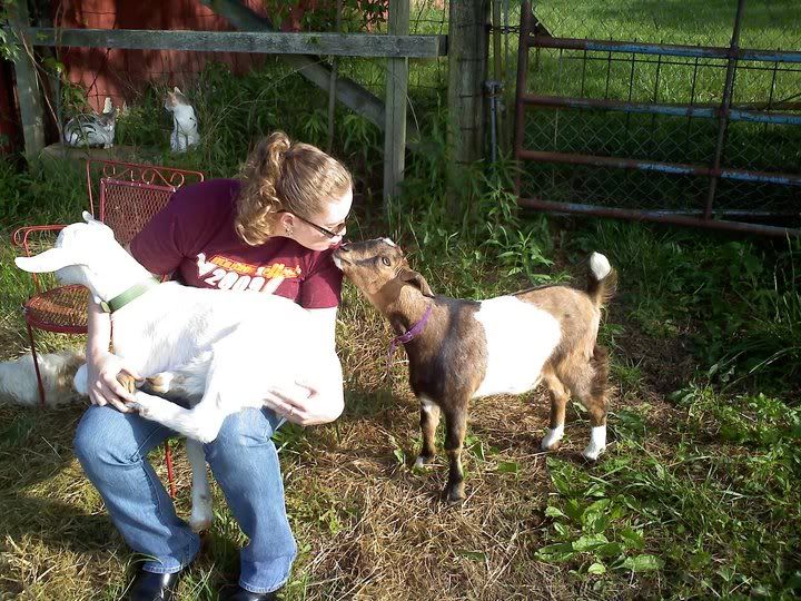 Coughing Goat - Sorry for length!! - Goats