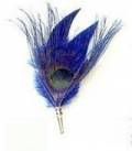 blue brooch plue