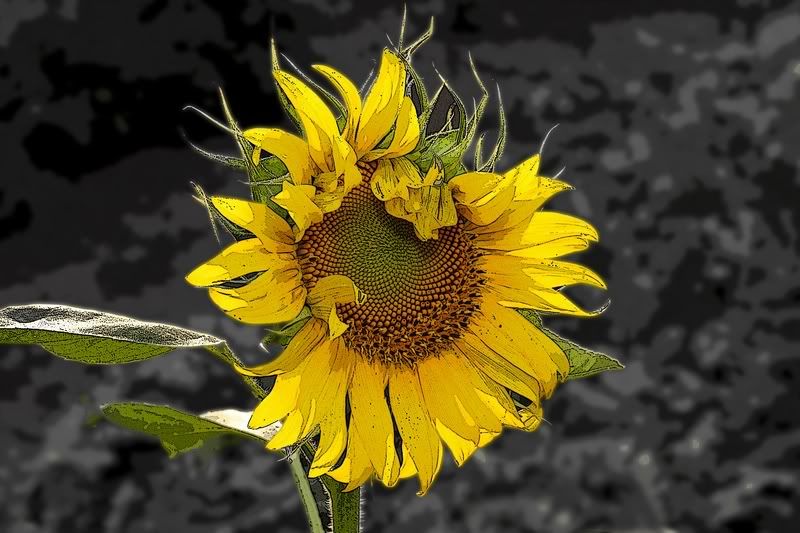 IMAGE: http://i34.photobucket.com/albums/d102/john1995/IMG_4870p.jpg