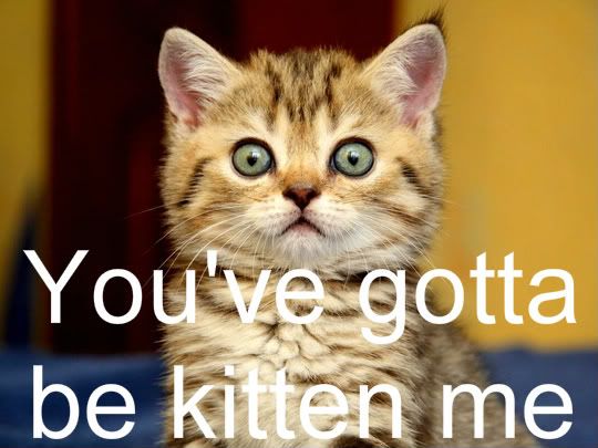_Surprised_kitten-1.jpg