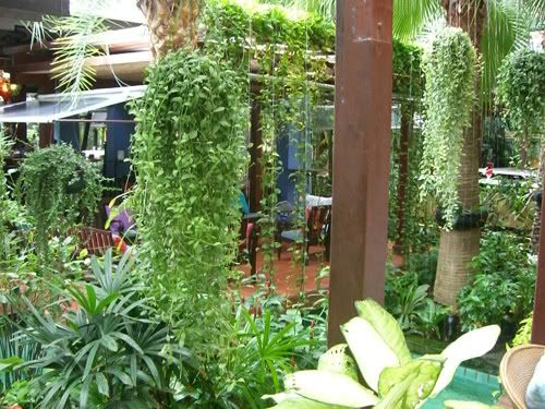 Photo Sharing and Video Hosting at Photobucket