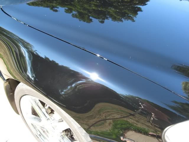 reflect4.jpg