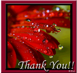 thank-you-4.gif