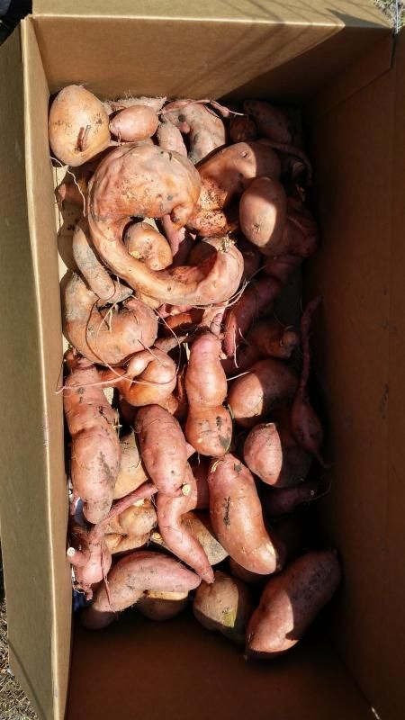  photo 2014-08-12140800.jpg