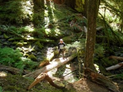 Olympic National Forest