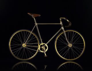 20090330golden_bike_1.jpg picture by Pedro48