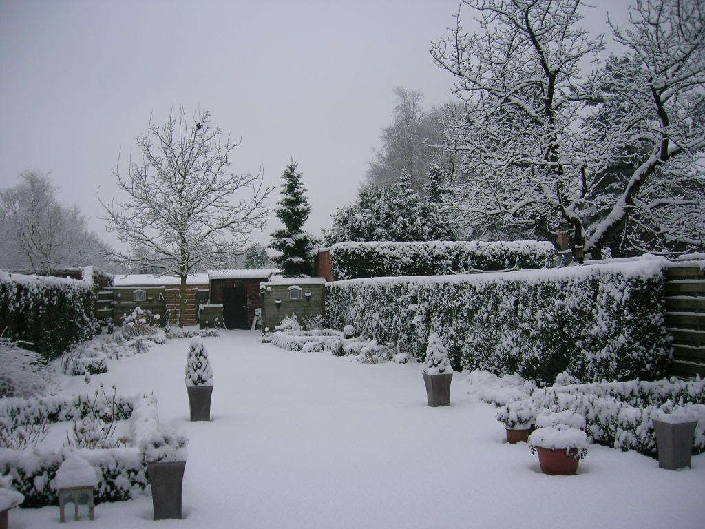 20090105sneeuvaltuin.jpg picture by Pedro48