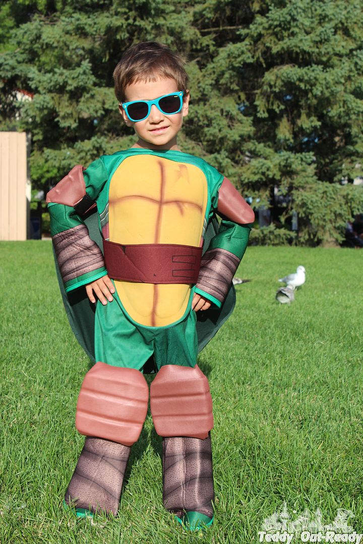 Turtle Costume
