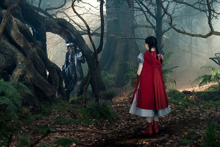 Into The Woods Red Hood