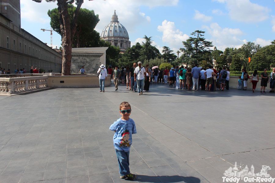 Teddy In Vatican Summer