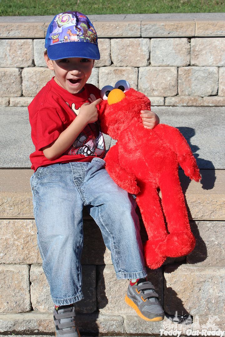 Teddy Big Hugs Elmo