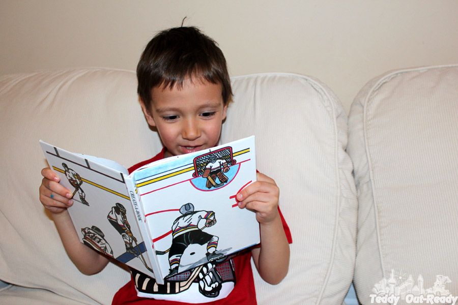 Teddy Hockey Book