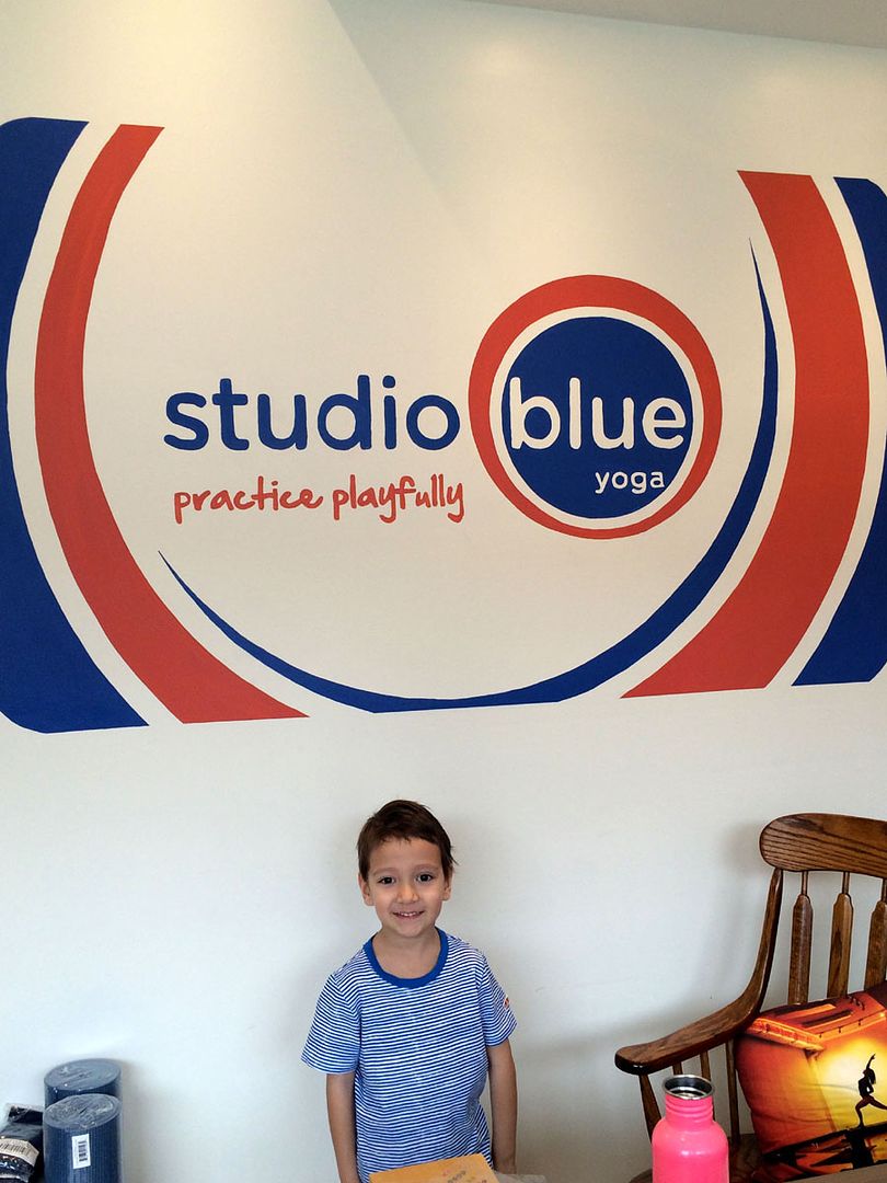 Studio Blue Front Teddy
