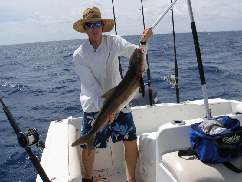 2012-03-25Cobia002.jpg