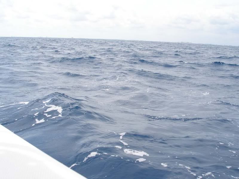 2012-03-25Cobia004.jpg