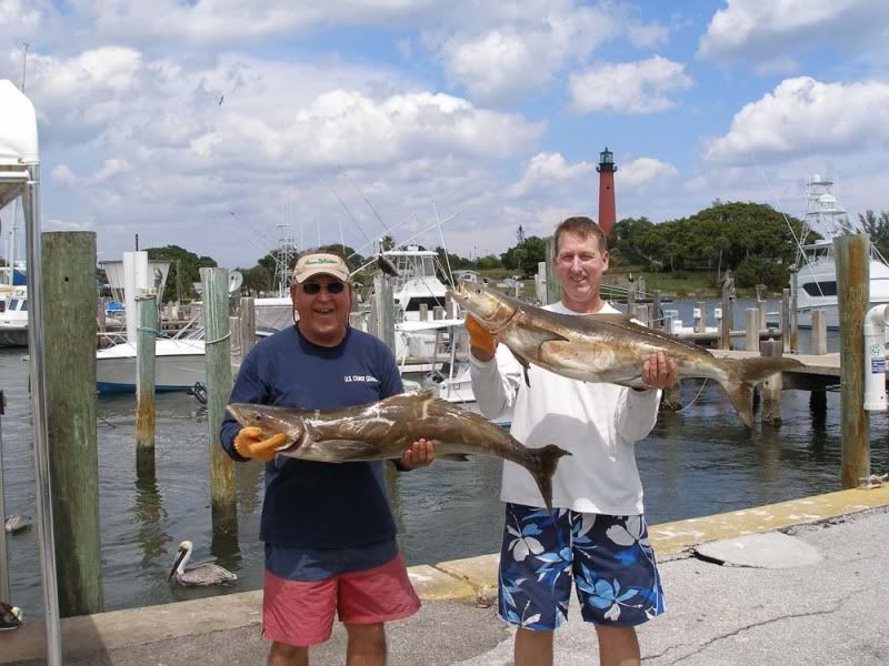 2012-03-25Cobia008.jpg