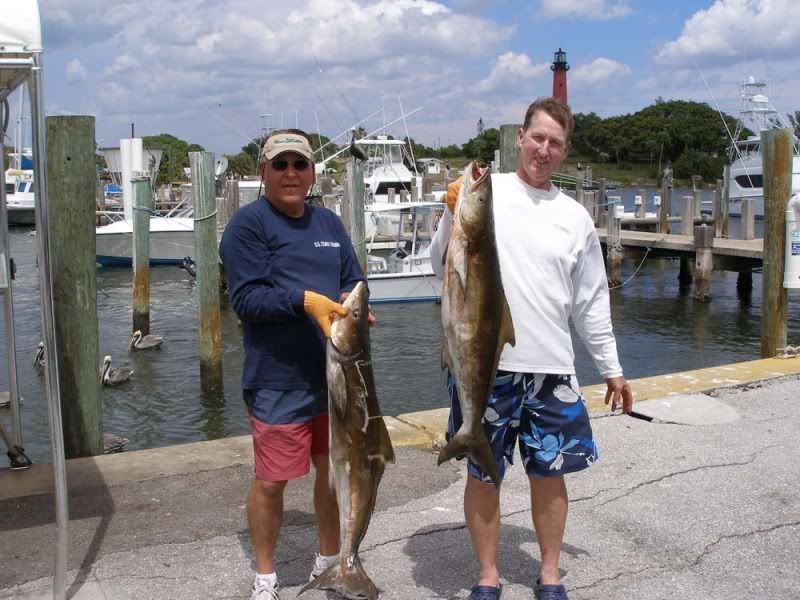 2012-03-25Cobia009.jpg
