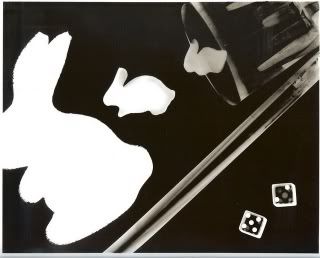 Magic Bunnies Photogram