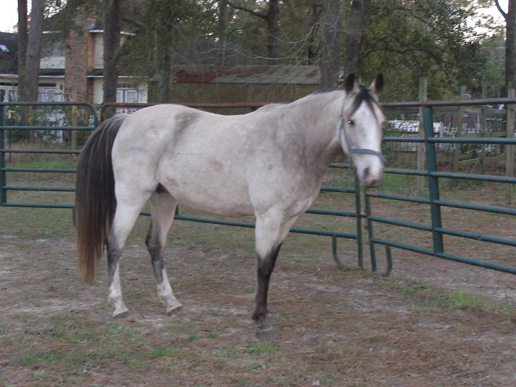 Dream9months?t1237439096