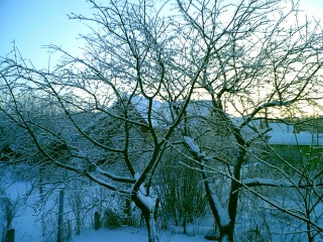 Утро, минус 27. Image hosted by Photobucket.com