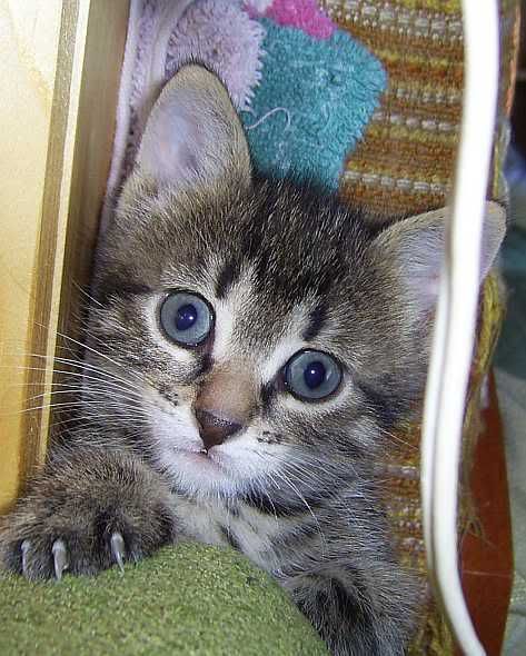 Photobucket