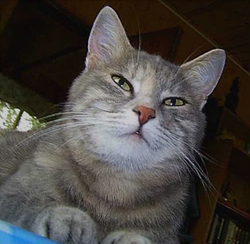 Photobucket