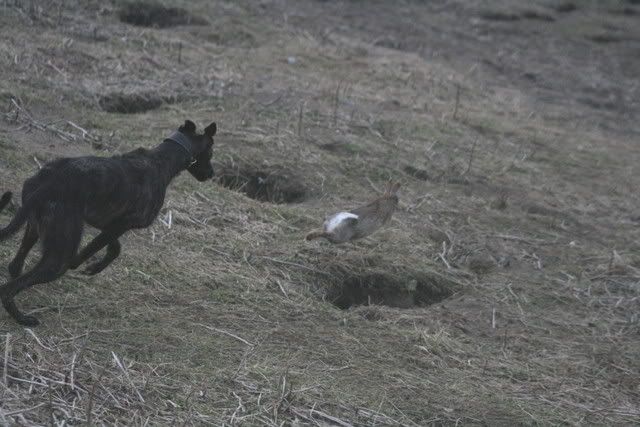 IMG_4764.jpg