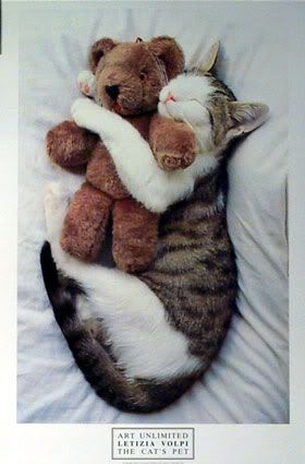 catandteddyhug.jpg