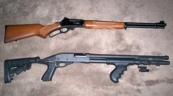 Buying our first gun? - Homesteading Questions