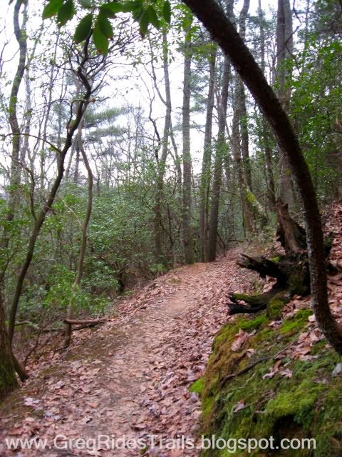 bull mountain,mountain biking