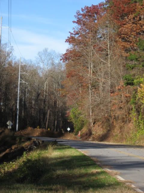 road near currahee mountain