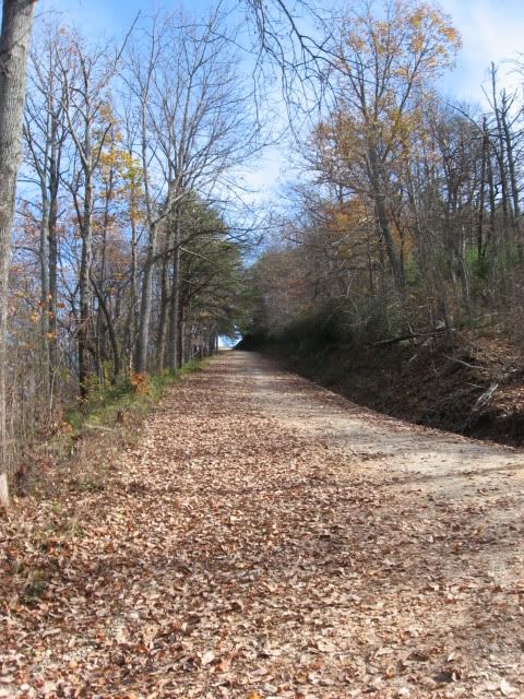 currahee mountain road