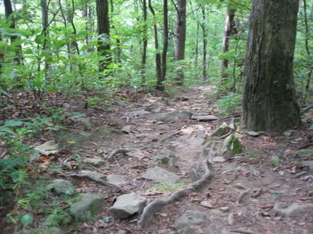 stanley gap aska trails