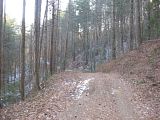 snow,mountain biking,montgomery creek,dahlonega,georgia,bull mountain