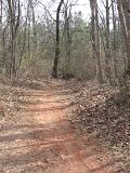 moutain biking,chicopee woods,singletrack