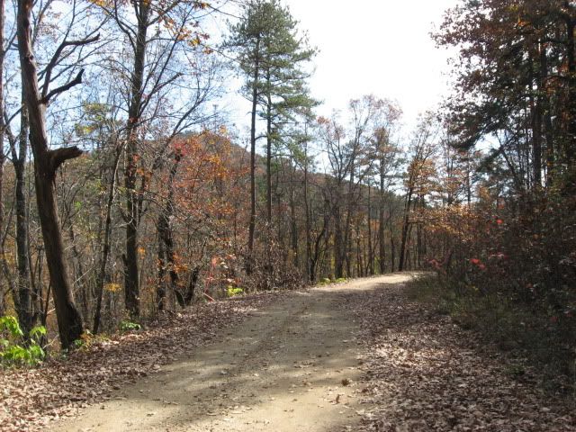 currahee mountain road with currahee mountain in the background