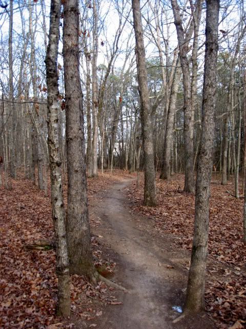 mountain biking,singletrack,gainesville state college