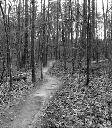 Gainesville State College Trail