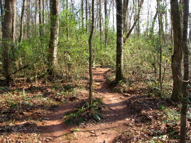 hawkes creek mountain biking athens, georgia