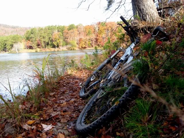 bike on the side of a lake