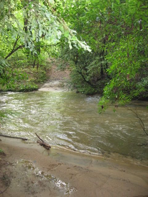 flooded stream
