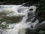 flooded stream