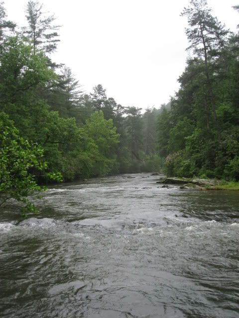the river