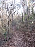 mountainbiking,lmnop,lumpkin,athens georgia,singletrack,overpass