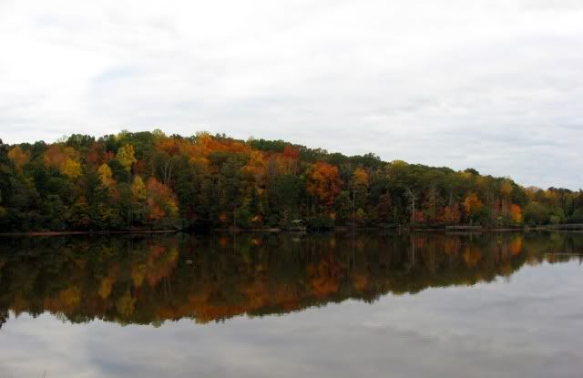 fall colors near the pond