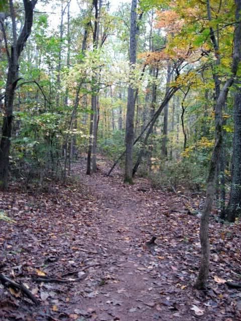 uga im fields singletrack